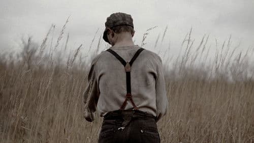 Black Canaries Bild 3