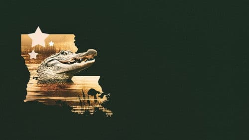 Louisiana Law Bild 4