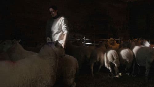 Dirt Ash Meat Bild 2