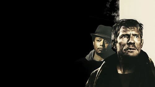 Cardboard Boxer Bild 4