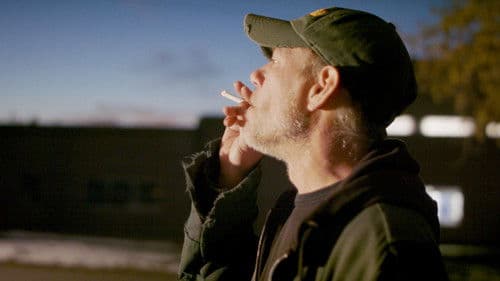 Common American Crow Bild 1