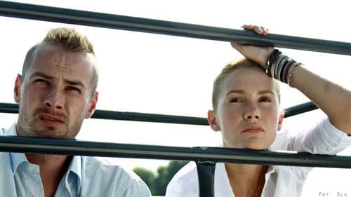 Skrzydlate świnie Bild 5