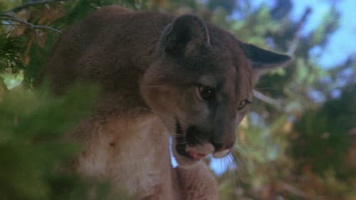 Panik in der Sierra Nova Bild 6