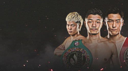 PRIME VIDEO BOXING 13 Bild 1