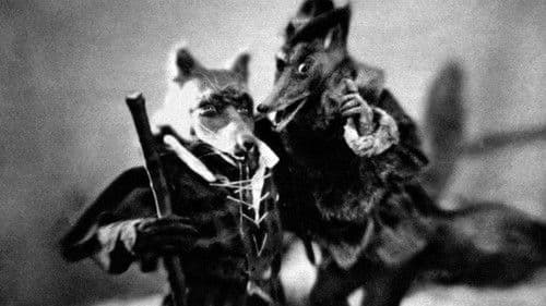 Reineke Fuchs Bild 4