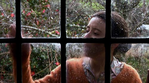 Deus Não Quis Bild 2