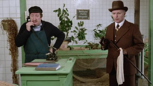 Operation Lady Marlene Bild 2