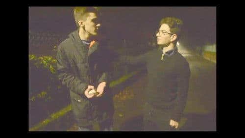 Polpette n.86 Bild 1