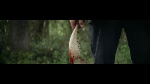 El Rey de Enoc Bild 2