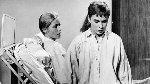 Nahe dem Leben Bild 2