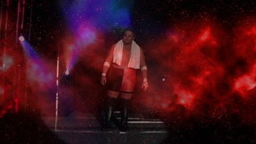 ROH: Weekend of Champions - Night Two Bild 1