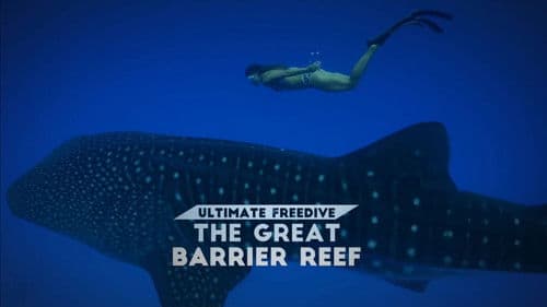 Ultimate Freedive: The Great Barrier Reef Bild 1