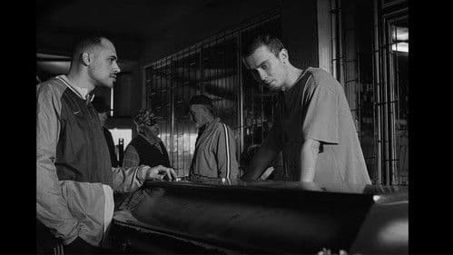 Cam multă spumă Bild 3