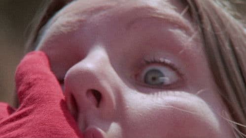 Labyrinth des Schreckens Bild 2