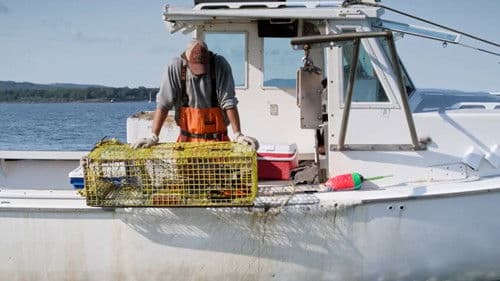 The Ghost Trap Bild 1