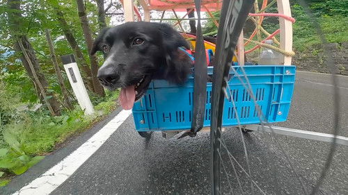 Alpine Trilogy Bild 1