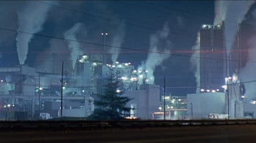 All the Real Girls Bild 5