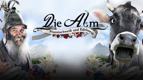 Die Alm - Promischweiß und Edelweiß Bild 1