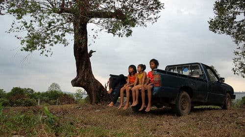 Talking to the Trees Bild 5