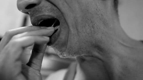 La sinfonía del sandwich Bild 5