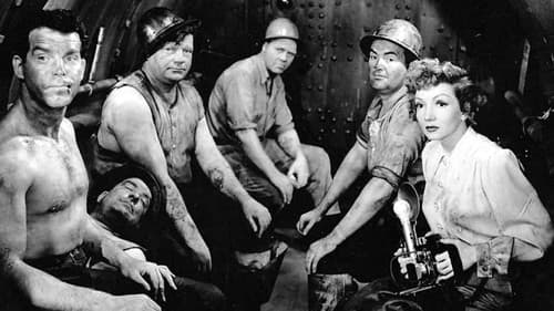 Keine Zeit für Liebe Bild 3