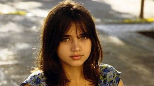 Una rosa de Francia Bild 1