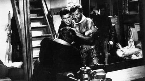 Haie und kleine Fische Bild 3