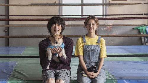 판소리 복서 Bild 2