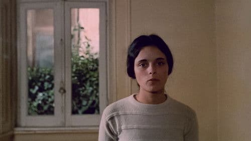 Brandos Costumes Bild 4