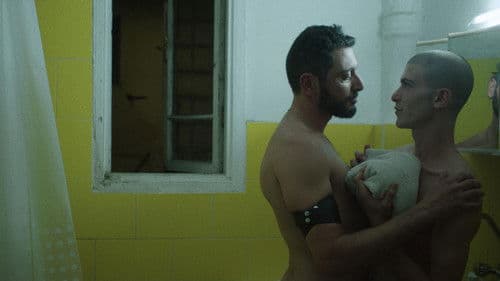 Night of Love Bild 6