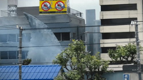 温泉シャーク Bild 6