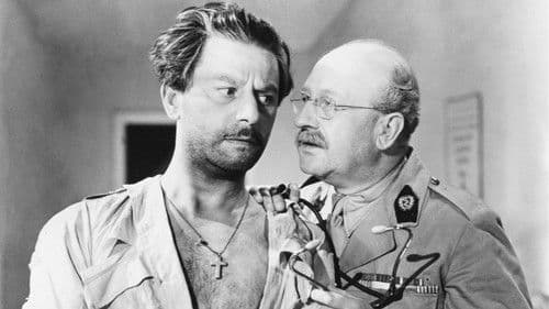 Der Mann aus Marokko Bild 1