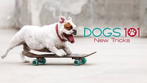Dogs 101 Bild 3