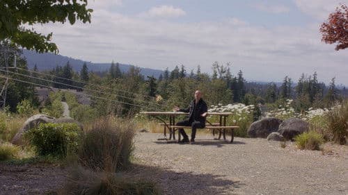 In the Summer Rain Bild 7