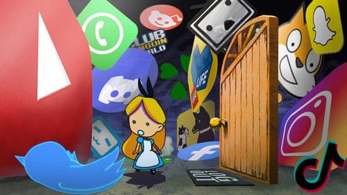 Alice in Internet Bild 5