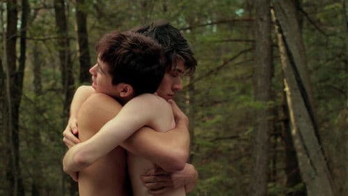 The Ducks' Migration Bild 1