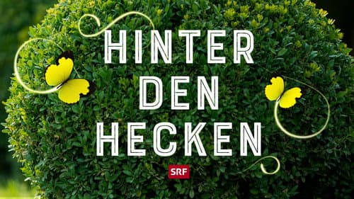 Hinter den Hecken Bild 2