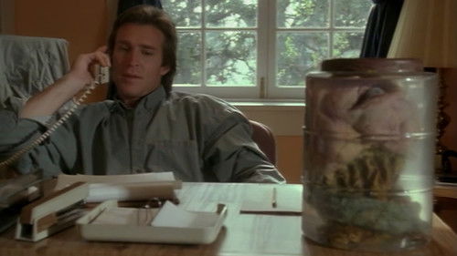 Geißel der Lust Bild 3