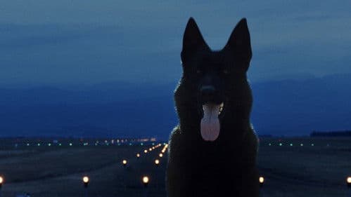 Између дана и ноћи Bild 4