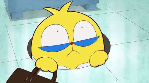 100%パスカル先生 Bild 1