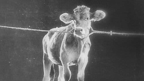 Die Generallinie Bild 1