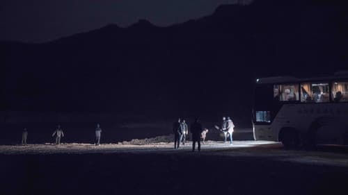 An Elephant Sitting Still Bild 2