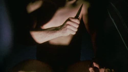 Invocation of My Demon Brother Bild 4