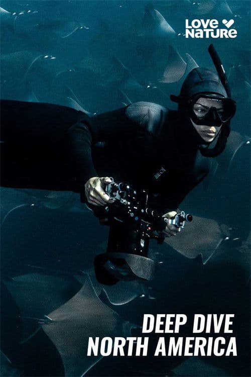 Deep Dive North America