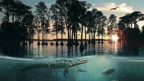 Hurrikan über Louisiana Bild 1