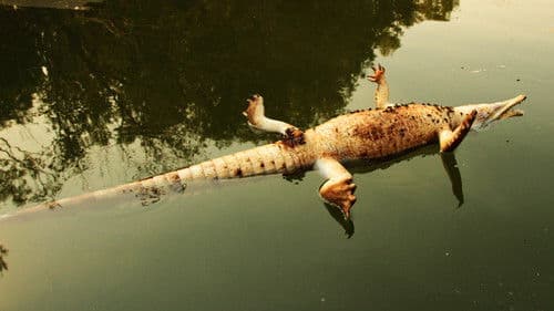 Stranger Than Nature Bild 5