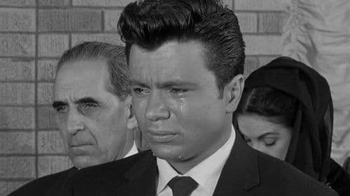 The Tijuana Story Bild 4