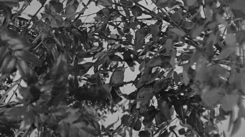 Eine Landpartie Bild 5