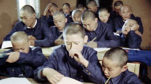 Намар нахиалсан мод Bild 1