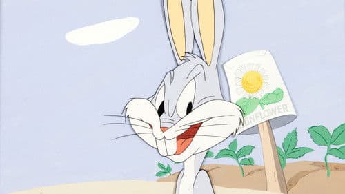 Schlag auf Schlag Bild 2